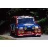 Kit déco R5 Turbo Tour de Corse 1985