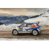 Doors number stickers FIA WRC