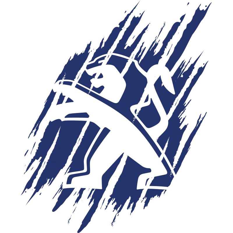 Roof Stickers Peugeot Sport V3