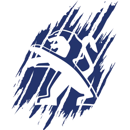 Stickers de toit ou capot Peugeot Sport v3