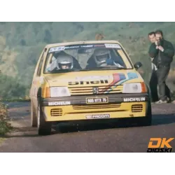 Graphic kit 205 Rallye Mousquetaires