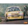 Graphic kit 205 Rallye Mousquetaires