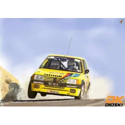 Graphic kit 205 Rallye Mousquetaires