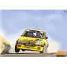 Graphic kit 205 Rallye Mousquetaires