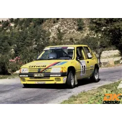 Graphic kit 205 Rallye Mousquetaires