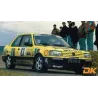 Graphic kit 309 GTi Mousquetaires Tour de Corse