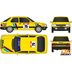 Graphic kit 309 GTi Mousquetaires Tour de Corse