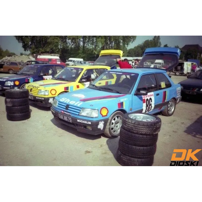 Graphic kit 309 GTi Mousquetaires Tour de Corse