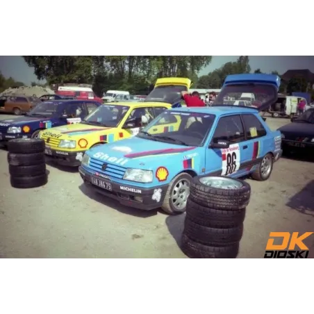 Graphic kit 309 GTi Mousquetaires Tour de Corse