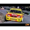 Decal Kit Replica Saxo Kit Car s1600 Dani Sola