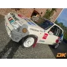 Graphic kit 205 GCAP Groupe A